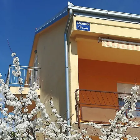 Apartman Daria شقة *