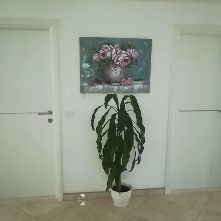 Daria *