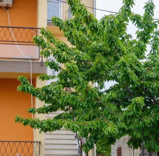 Apartman Daria